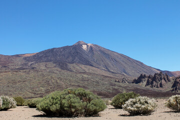 Bushes, mountains and rocks in this special landscape, El Teide on Tenerife
