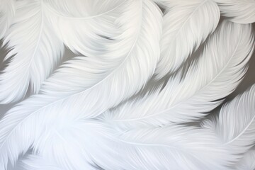 Fototapeta premium White feathers gracefully drifting in a dark space, minimalist and ethereal composition