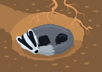 cartoon childish vector illustration of badger sleeping in hole isolated on white background