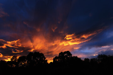 Vibrant sunset with silhouetted trees against a dramatic sky