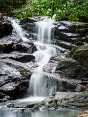 Fototapeta premium Water flows in a river near the Cunca Wulang waterfall, Labuan Bajo, Indonesia
