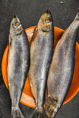Herring fresh fish seafood pescetarianism tasty food dish fresh delicious gourmet food background...