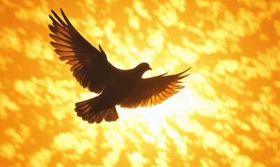 Fototapeta premium Photography of a dove in flight, with a clear morning sky and golden sunlight in the background