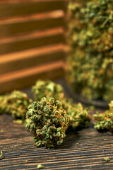 Medical cannabis on a wooden table, green dry buds, cbd oil, healing tincture, cannabinoids