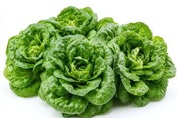 Obraz premium a fresh, crisp iceberg lettuce head with slightly ruffled leaves, against a white background.