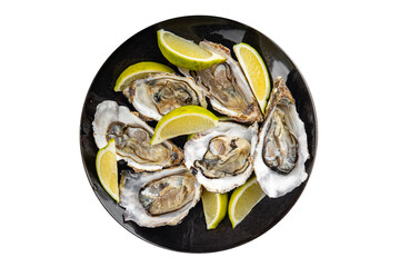 Oysters fresh seafood tasty food dish Fresh delicious gourmet food background on the table rustic food top view copy space top view pescetarianism diet