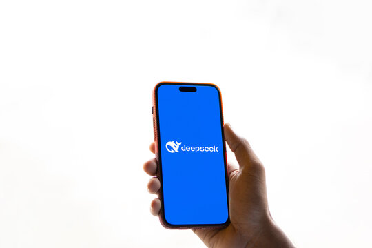 Dhaka, Bangladesh- 09 Nov 2024: Deepseek Ai logo is displayed on smartphone.