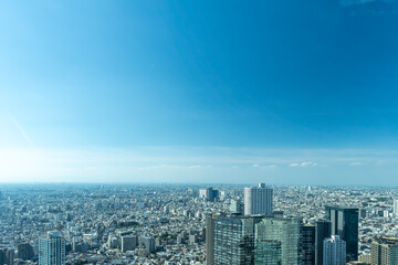 Fototapeta premium 【東京】2024年 秋 大都会新宿高層階からの街並み 摩天楼の風景【日本】