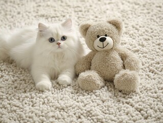 A fluffy white cat lies next to a soft teddy bear on a textured carpet.