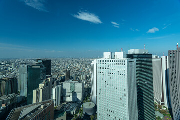 【東京】2024年　秋　大都会新宿高層階からの街並み　摩天楼の風景【日本】