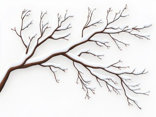Fototapeta premium PNG. Minimalist winter tree branches