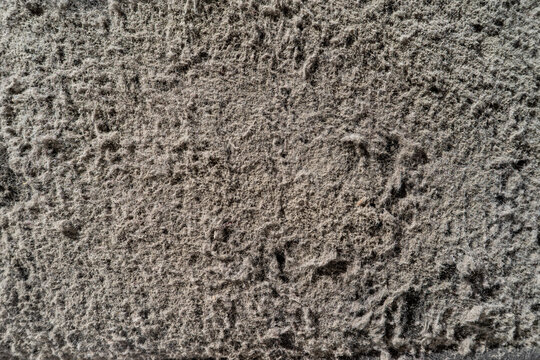 Microscopic solid particles in the air that come from a variety of sources, such as soil dust carried by the wind.