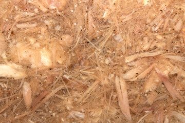 Meat broth jelly with pieces of meat.Jelly texture.Beef aspic.Jelly homemade background.