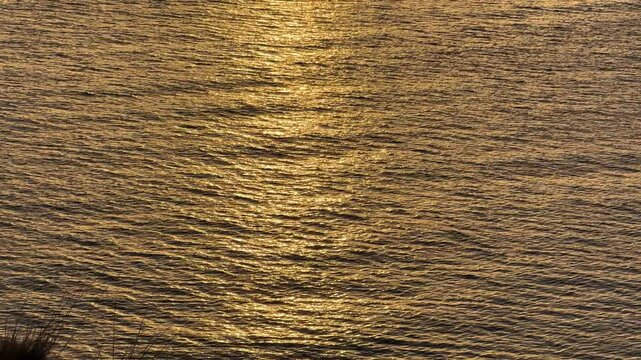 Authentic iPhone Video: Golden Sea - Sunlight Reflecting on Rippling Water, Abstract Nature Pattern, Golden Hour, Peaceful Scene