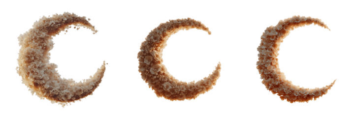 Set of a Beautiful crescent moons adorned with delicate flower Isolated on a transparent background, PNG file
