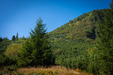 Scenic view of mountain slopes bathed in soft sunlight, covered with green vegetation and rocky textures. A peaceful natural landscape showcasing the rugged beauty of high-altitude terrain