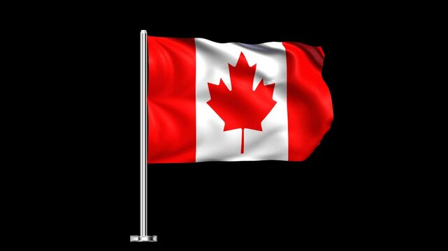Realistic Waving Canada Dest Flag Loop Animation with Transparent Background
