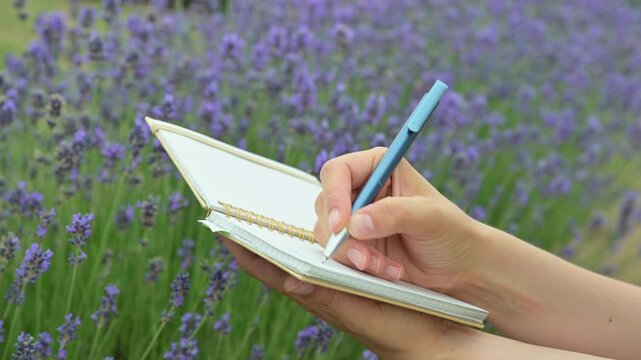 Writing in a Notebook in a Lavender Field Mindful Moment in Nature.video capturing hands writing in a notebook amid a blooming lavender field, embodying a peaceful, mindful connection with nature