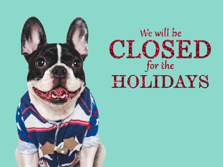 Signboard with the inscription We will be closed for the Holidays. Cute puppy and text for the sign. Closeup, indoors. Studio shot. Pets care concept