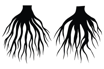 Set of tree roots underground. Black tree roots silhouette isolated on white. Shrub roots, parts of plant. Taproot and fibrous root systems of plants. Vector art for natural and environmental themes 
