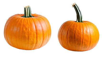 Obraz premium Whole Orange Pumpkin with Green Stem