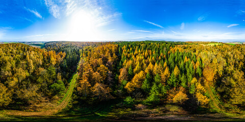 Aerial 360 panorama of autumn forest in bright sunshine.