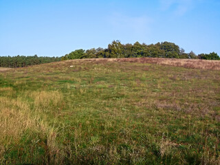 Obraz premium Wiesen und Wälder in den Knehdener Alpen