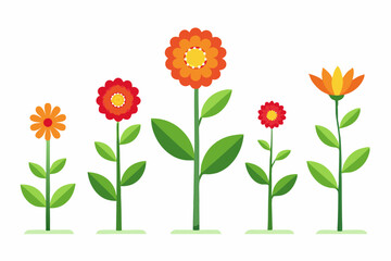 Obraz premium flower growth stages isolated on white background vector illustration