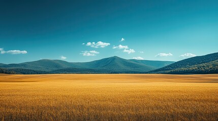 Obraz premium A vast field beneath a clear sky serves as a symbol of the changes in the environment brought about by climate change