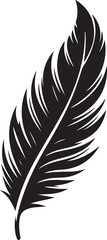 Obraz premium Feather Vector