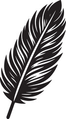 Obraz premium Feather Vector