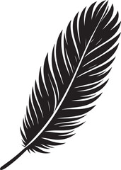 Fototapeta premium Feather Vector
