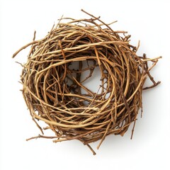 Nest made of twigs on white background highlighting nature's simplicity and craft