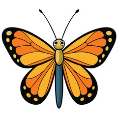 viceroy butterfly vector illustrations on a white background.