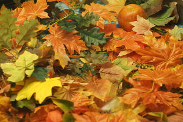 A colorful background image of fallen Autumn leaves
