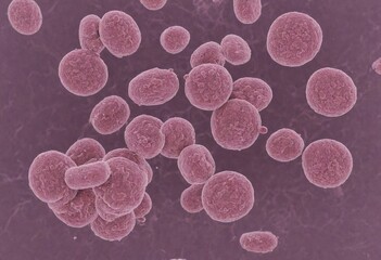Streptococcus pneumoniae : picture a pair or chain of these Gram-positive bacteria. Generative AI.