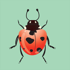 Ladybug art