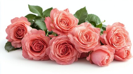 Obraz premium A beautiful arrangement of six pink roses with green leaves placed on a white background