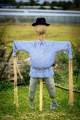 Vogelscheuche auf dem Land