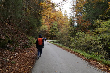 Jesienny marsz drogą