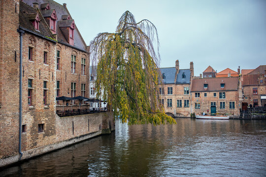 Herbst in Br&uuml;gge