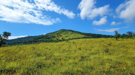 Fototapeta premium Remote hilltop, untouched views, lush meadows, fresh air, peaceful scene.