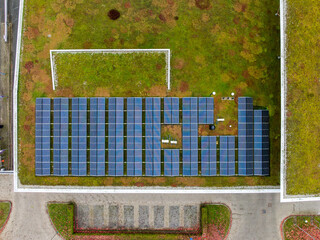 ecological rooftop