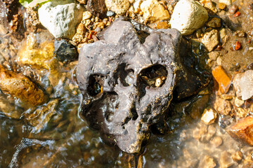 Black stone with cavities in a stream resembling a humanoid skull with a third eye