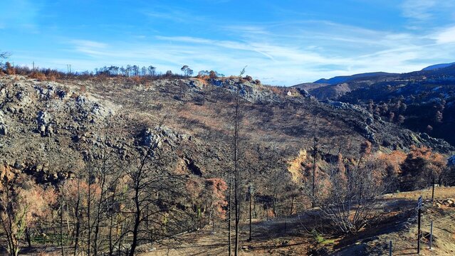 Photo of the barren, charred slopes surrounding Lake Marathon Dam in Marathonas, Attica, Greece, showing a stark landscape shaped by recent wildfires, with scorched earth and sparse vegetation.