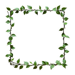 Fototapeta premium Vine frame with leaves isolated on transparent background, template