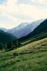 Hikers exploring a scenic mountain landscape in a lush valley during a bright, sunny day