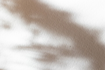 Abstract Leaf Shadow Pattern
