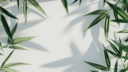 Elegant bamboo leaves on light background creating natural tranquility