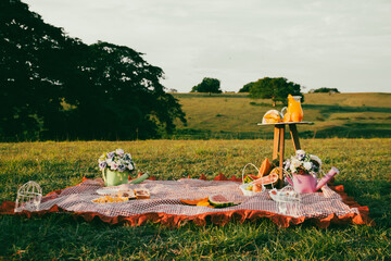 picnic naturaleza